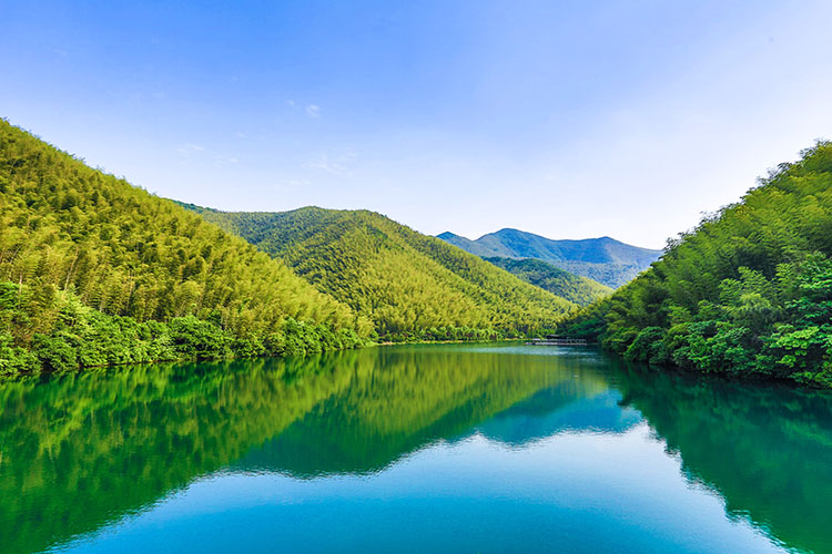 天目湖南山竹海